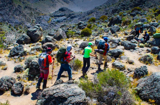 RONGAI ROUTE  8DAYS – 7NIGHTS