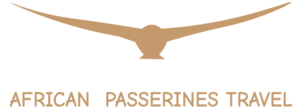 African Passerines