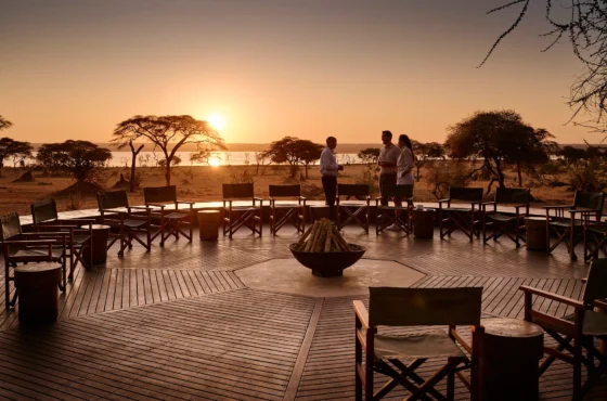 9 DAYS TANZANIA LUXURY SAFARI WITH ALL  PARKS!