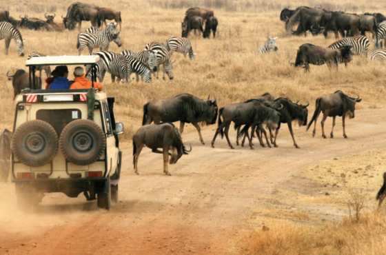 6 Days Maasai Mara The Lakes